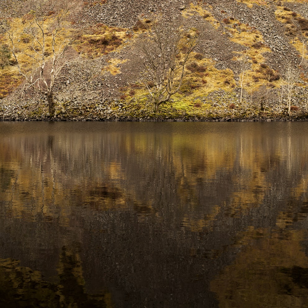 Moorland, photographed by Jade Starmore