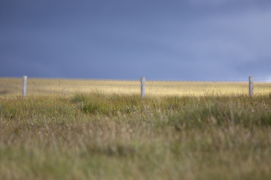 Hebridean croft, photographed by Jade Starmore