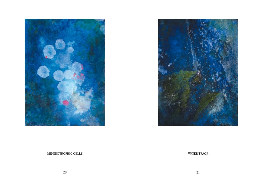 Typsetting of Mamba, an exhibition catalogue by Alice Starmore