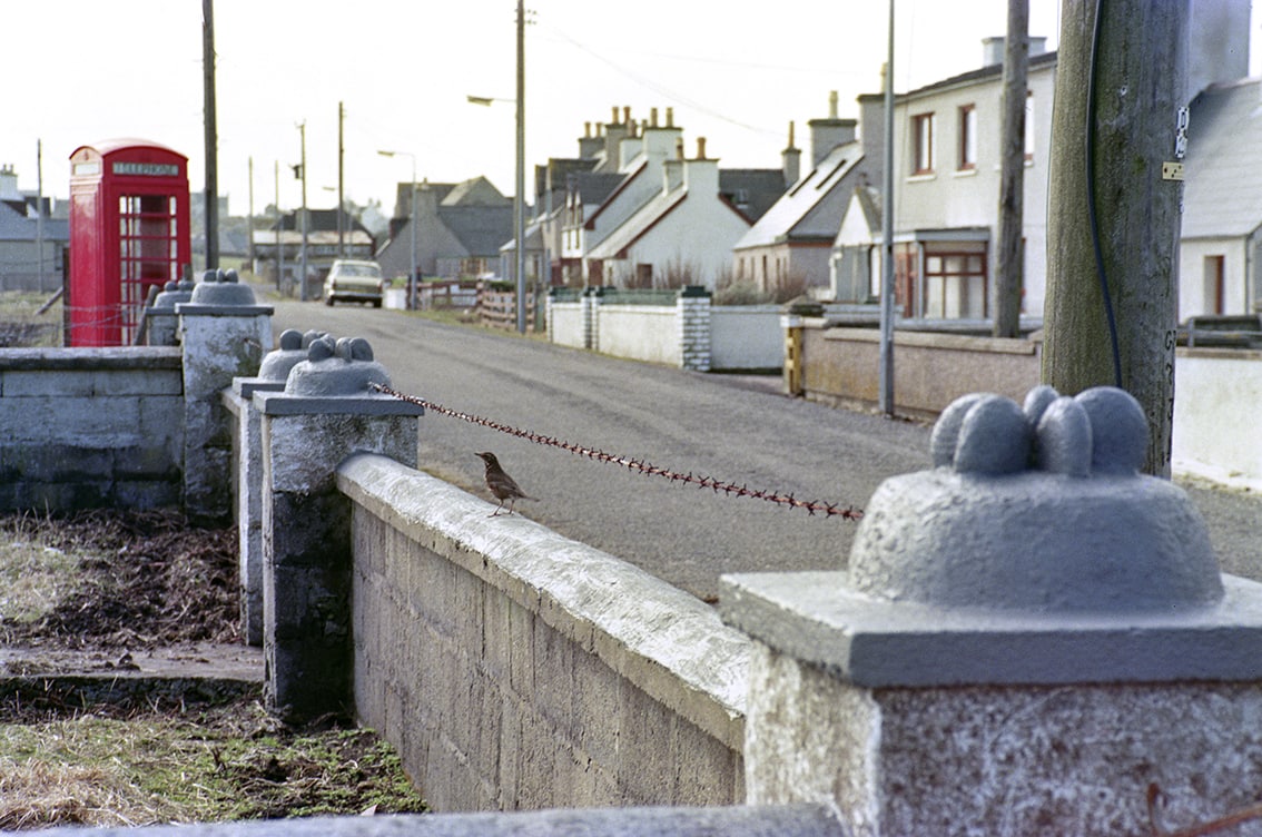 Gatepost Art of the Outer Hebrides by Graham Starmore